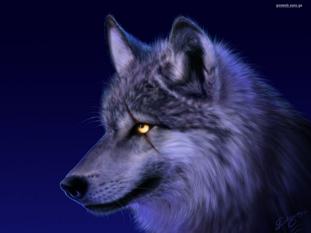 Wolf Nature
